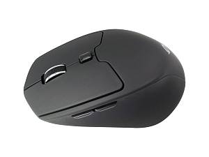CONCEPTRONIC Maus Wireless BT5.2/6Btns ERGO          schwarz