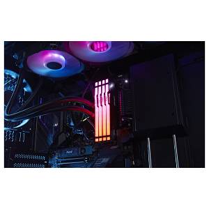 64GB 5600MT/S CL36 DIMM