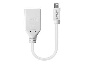 LINDY Mini-DisplayPort an Displayport Adapterkabel M/F 0.15m