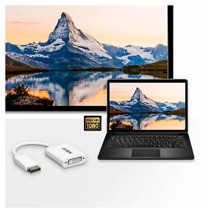 ATEN VC965 DisplayPort to DVI Adapter