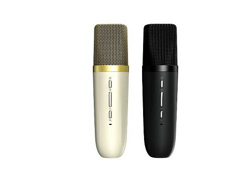 HiFuture Vocalist100  Black  Party Bluetooth Speaker