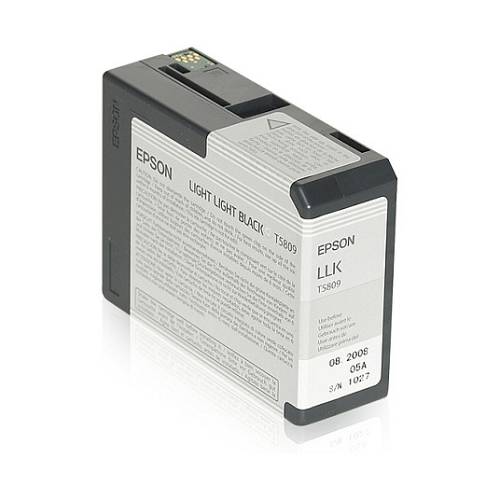 Epson C13T580900 light black