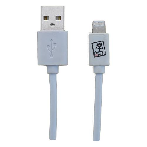 2GO USB Lade-/Datenkabel Lightning 1m weiß in PET-Box