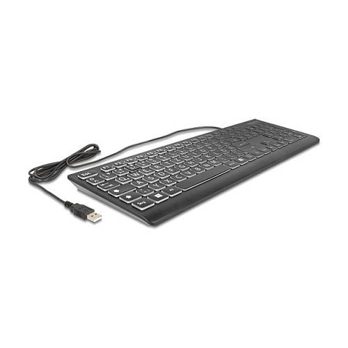 DELOCK USB Tastatur kabelgebunden 1.5m schwarz mit XXL Buchstaben und Beleuchtung