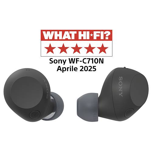Sony WF-C710N Kabellose Noise Cancelling-Kopfhörer True Wireless black