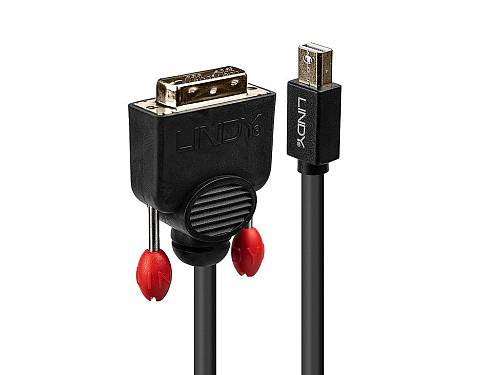 Mini DisplayPort to DVI-D Cable, black, 2m