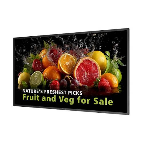 PHILIPS D-Line 43BDL5050D 109.2cm(43) 24/7/UHD/Android14