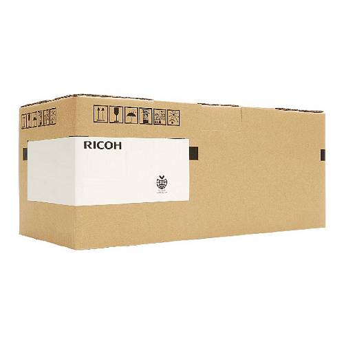 Ricoh Gel-Tinte GC51 405862 Schwarz bis zu 2.900 Seiten nach ISO 24711