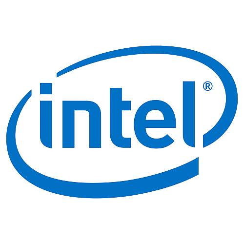 Intel Remote Management Module 4 Lite 2 - Fernverwaltungsadapter