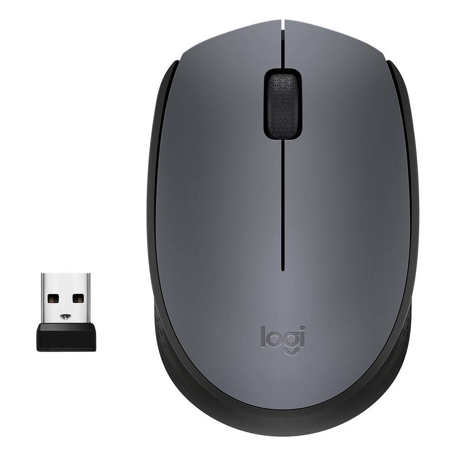 Logitech M170 Wireless black / grey