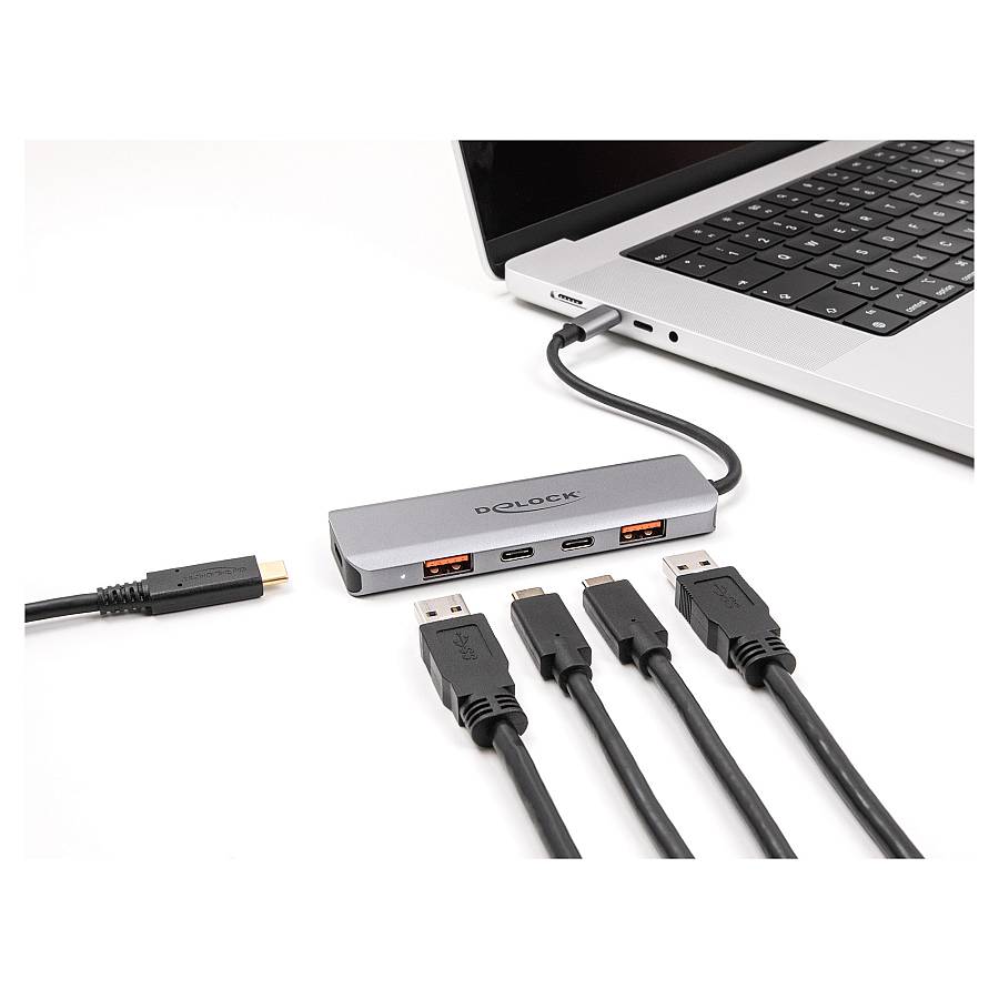 DELOCK USB 10 Gbps 2 Port USB Typ-A + 2 Port USB Type-C Hub mit USB Type-C Anschluss und PD 95 Watt