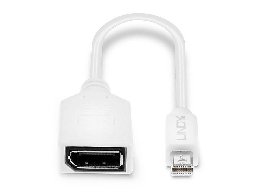 LINDY Mini-DisplayPort an Displayport Adapterkabel M/F 0.15m