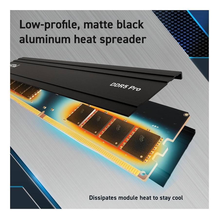 5600 32GB KIT Crucial 16GBx2