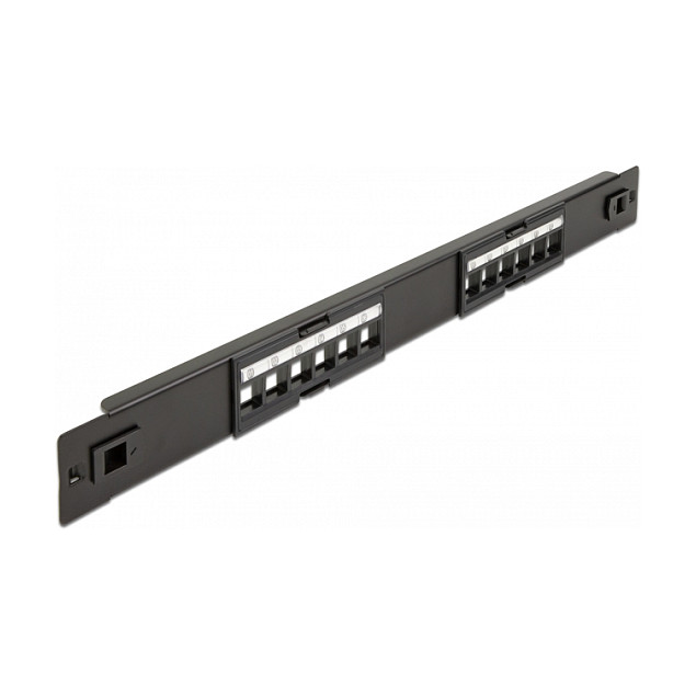 Delock 19? Keystone Patchpanel 12 Port werkzeugfrei