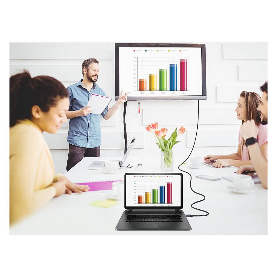 Equip DisplayPort 2.1 St/St 3.00m16K/60Hz komp.HDCP Alum. gr